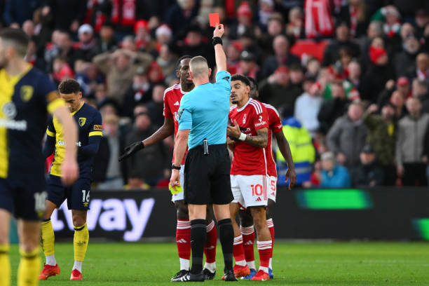 最近的报道 最近的报道